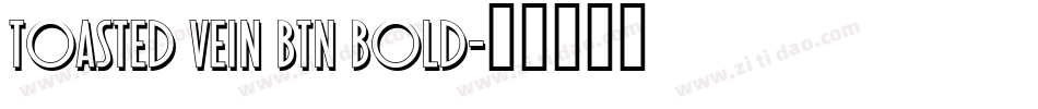 Toasted Vein BTN Bold字体转换